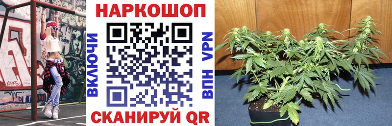 Наркота Саров МАРИХУАНА МЕГА вход ГАШ Героин Меф COCAIN